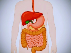 बारिश का मौसम पाचन तंत्र समस्या
